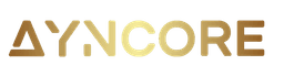 ayncore-blog